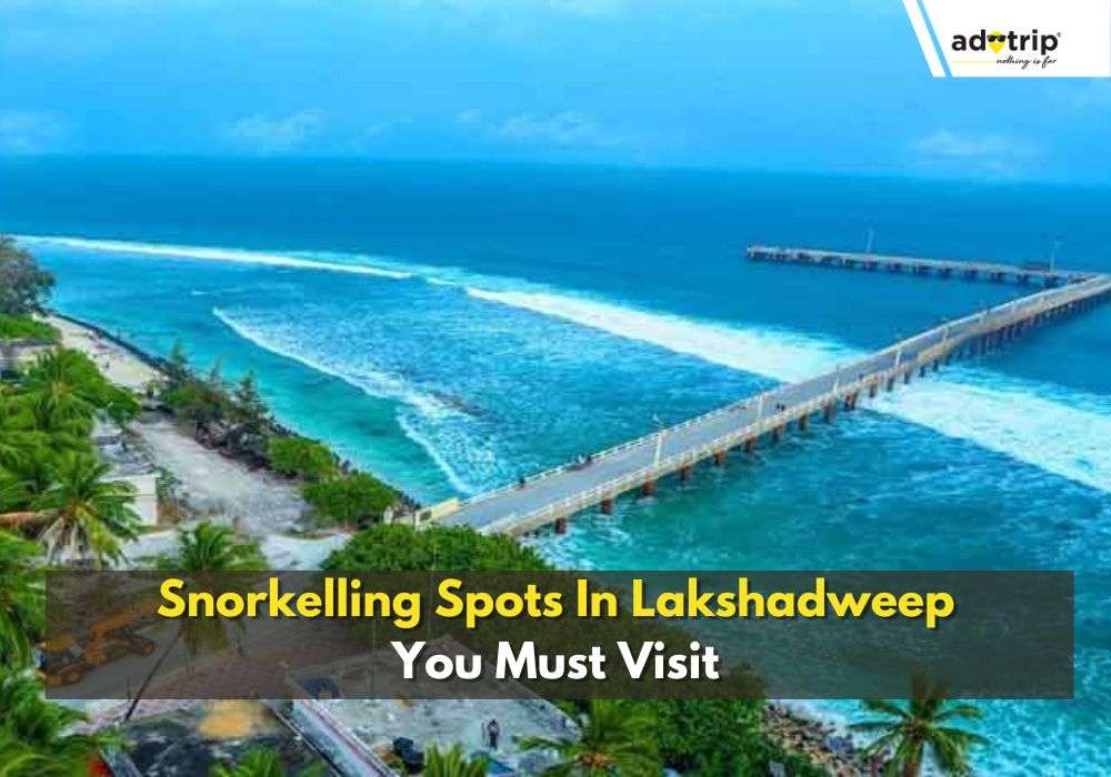 Snorkelling Spots In Lakshadweep